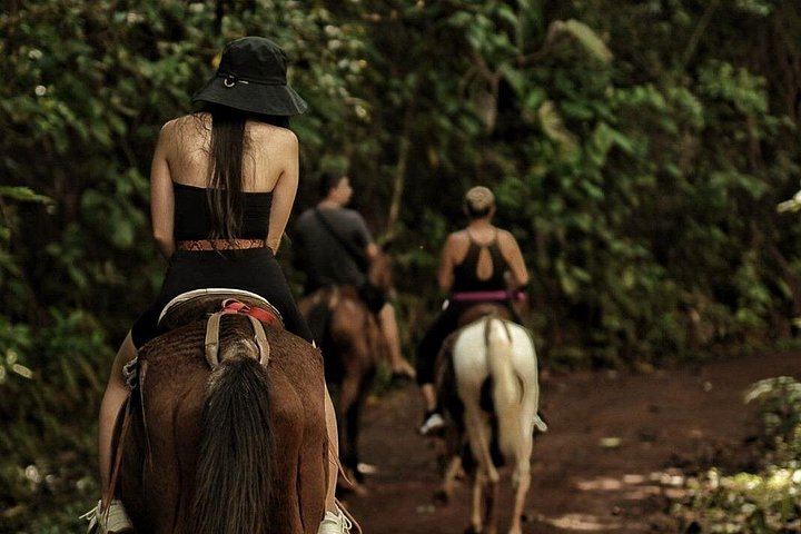Horseback Riding Tour to Bijagual Waterfall near Jaco, Meeting at the Falls (5/5)