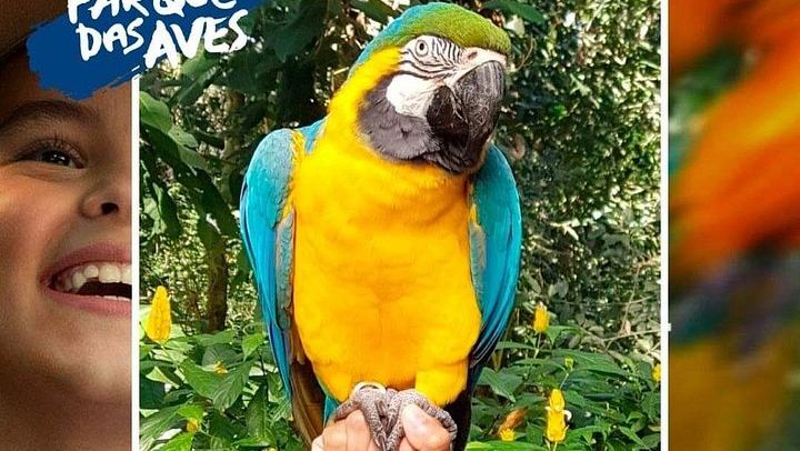 Private Car and Guide to Iguassu Falls Brazilian Side and Bird Park, Foz do Iguacu (2/12)