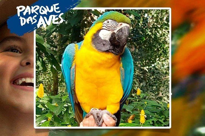 Private Car and Guide to Iguassu Falls Brazilian Side and Bird Park, Foz do Iguacu (2/12)
