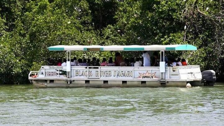 Private Appleton Rum, YS Falls and Black River Safari Day Tour from Montego Bay (3/8)