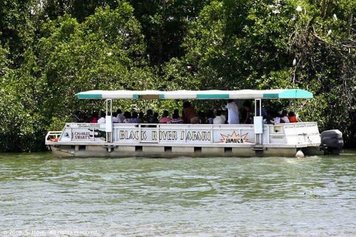 Private Appleton Rum, YS Falls and Black River Safari Day Tour from Montego Bay (3/8)