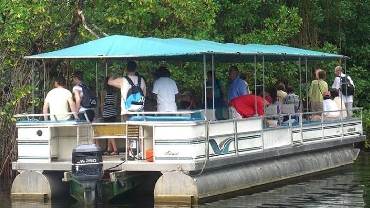 Private Appleton Rum, YS Falls and Black River Safari Day Tour from Montego Bay (2/8)