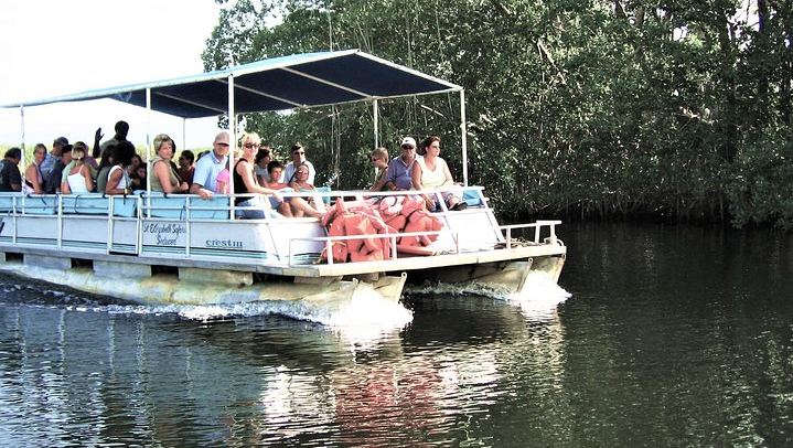 YS Falls, Buffet Lunch and Black River Safari from Montego Bay or Grand Palladium (1/12)