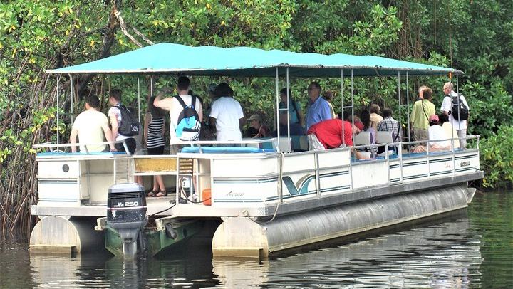 YS Falls, Buffet Lunch and Black River Safari from Montego Bay or Grand Palladium (2/12)