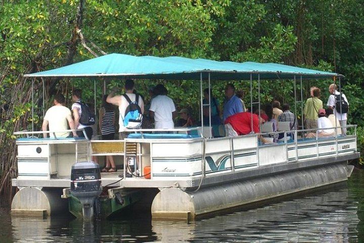 Private Appleton Rum, YS Falls and Black River Safari Day Tour from Montego Bay (2/8)