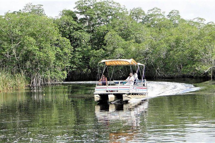 YS Falls, Buffet Lunch and Black River Safari from Montego Bay or Grand Palladium (9/12)