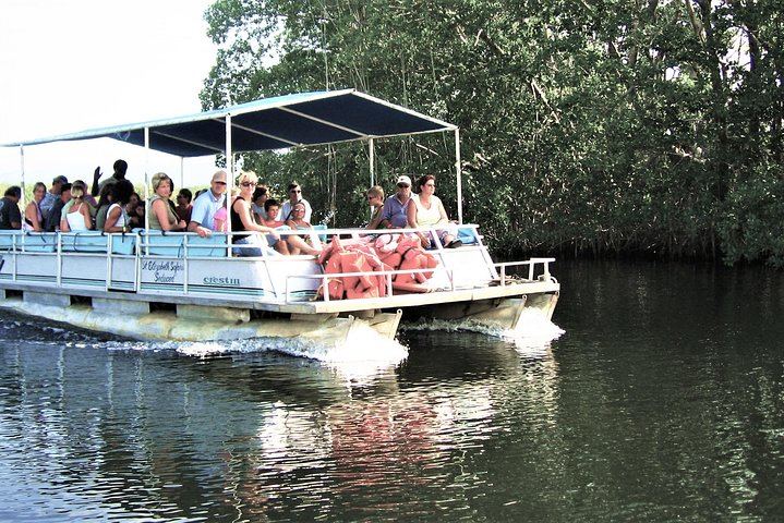 YS Falls, Buffet Lunch and Black River Safari from Montego Bay or Grand Palladium (1/12)