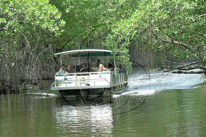 YS Falls, Buffet Lunch and Black River Safari from Montego Bay or Grand Palladium (10/12)