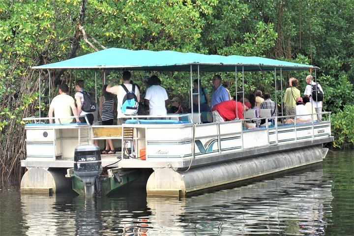 YS Falls, Buffet Lunch and Black River Safari from Montego Bay or Grand Palladium (2/12)
