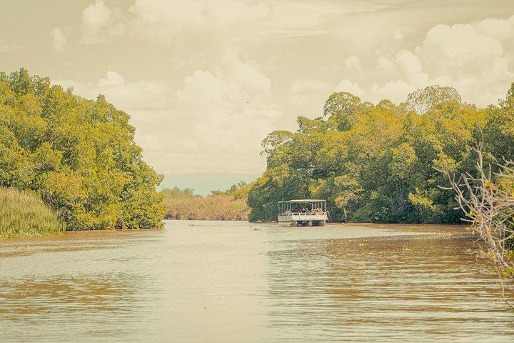 Appleton Estate Rum, Black River Safari and YS Falls from Montego Bay or Negril (2/12)