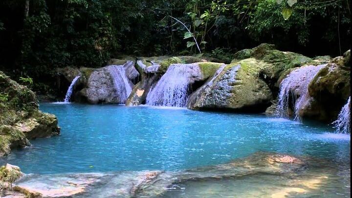 Ocho Rios Blue Hole, Reggae Hill Lunch with Cocktails and Dunn's River Falls Climb (3/11)