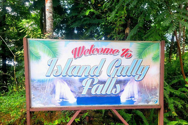 Ocho Rios Blue Hole and Dunn's River Falls Tour with Rum Punch and Optional Lunch Stop (6/12)