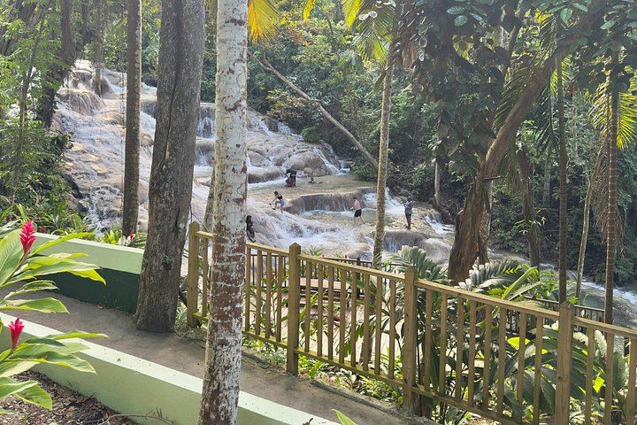 Ocho Rios Cruise Port Blue Hole and Dunn's River Tour, Entrance Fees Not Included (7/9)