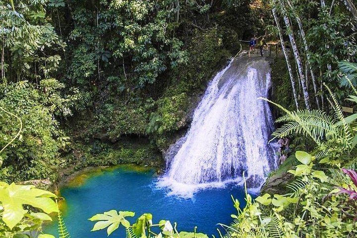 Private Blue Hole Tour with Horseback Ride and Ocean Swim from Ocho Rios (4/8)