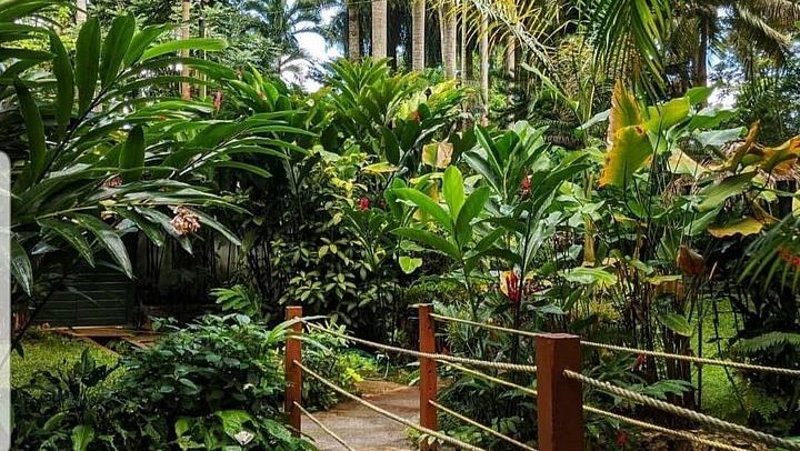 Konoko Falls Park and Blue Hole Combo Tour from Ocho Rios and Runaway Bay (3/6)