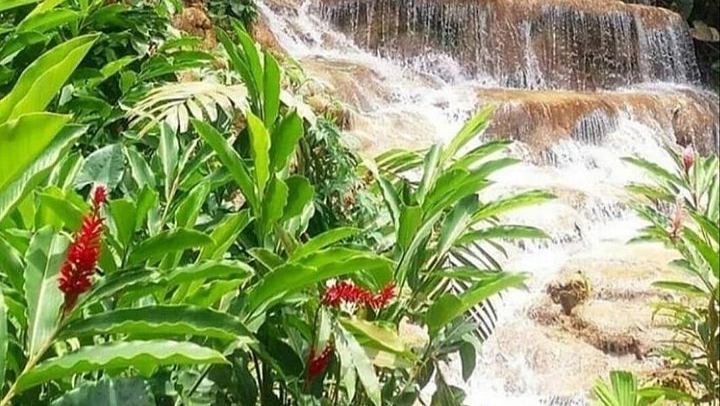 Konoko Falls Park and Blue Hole Combo Tour from Ocho Rios and Runaway Bay (4/6)