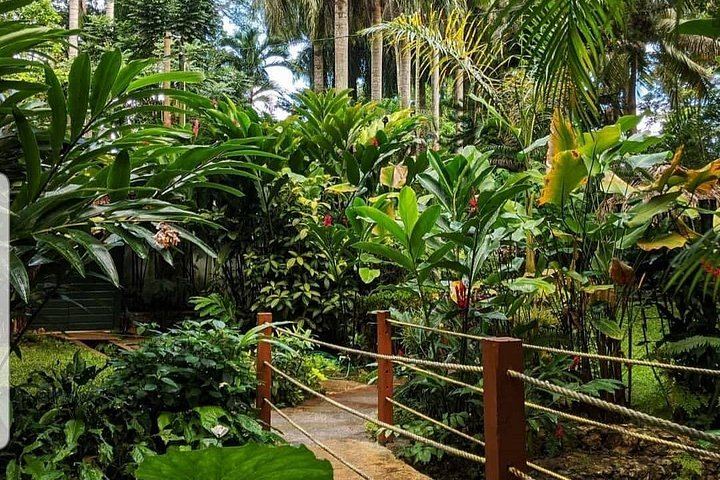 Konoko Falls Park and Blue Hole Combo Tour from Ocho Rios and Runaway Bay (3/6)