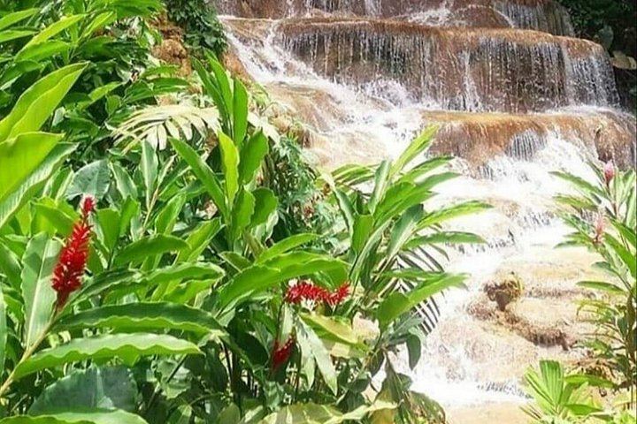 Konoko Falls Park and Blue Hole Combo Tour from Ocho Rios and Runaway Bay (4/6)