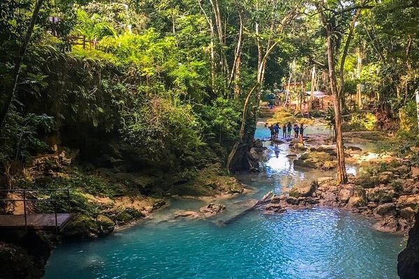 Blue Hole Rope Swing and Sightseeing Tour from Falmouth Cruise Port and Hotels