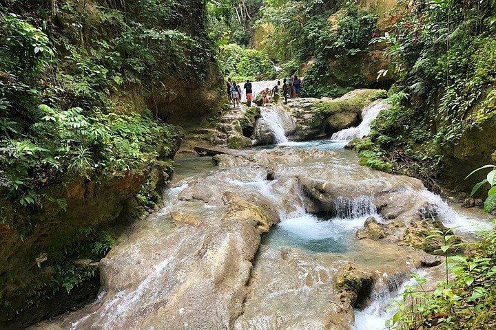 Blue Hole Rope Swing and Sightseeing Tour from Falmouth Cruise Port and Hotels (10/12)