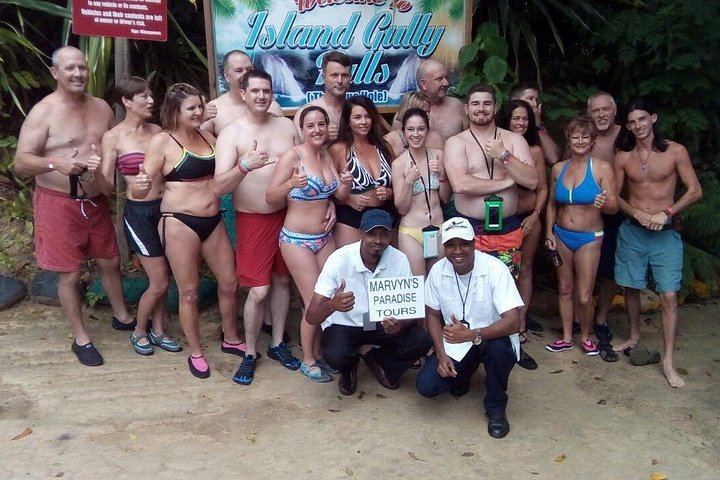 Blue Hole Rope Swing and Sightseeing Tour from Falmouth Cruise Port and Hotels (12/12)