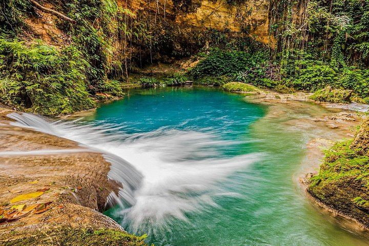 Private Blue Hole Tour with Horseback Ride and Ocean Swim from Ocho Rios (7/8)