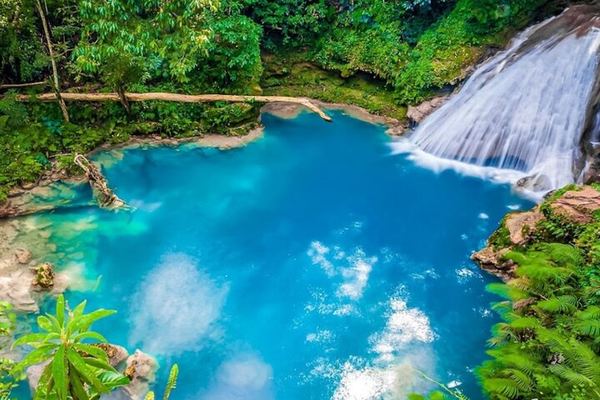 Dunn's River Falls, Blue Hole, Bamboo Rafting and Horseback Ride Day with Jerk Lunch