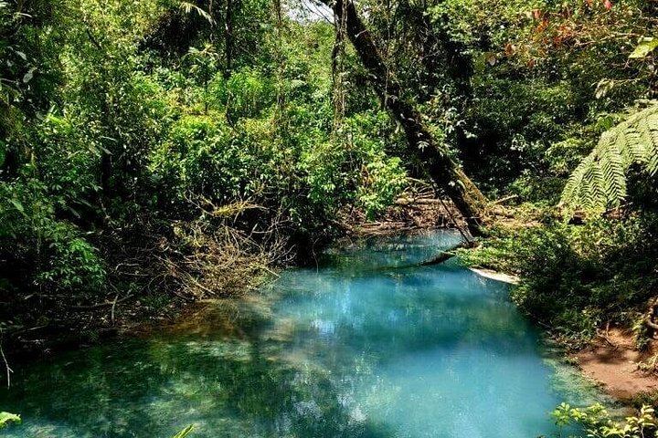 Rio Celeste Four-Hour Hike to the Blue Waterfall from La Fortuna (7/8)