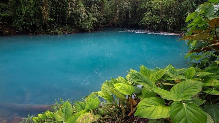 Tenorio Volcano National Park Hike to the Turquoise Rio Celeste Blue River (1/8)