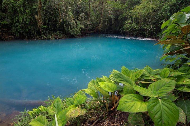 Tenorio Volcano National Park Hike to the Turquoise Rio Celeste Blue River (1/8)