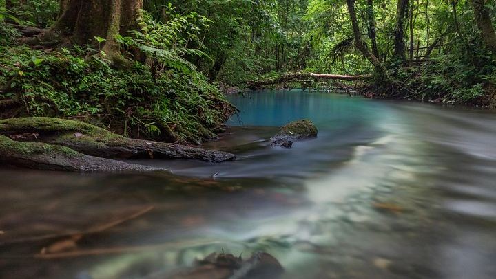 Tenorio Volcano National Park Hike to the Turquoise Rio Celeste Blue River (2/8)