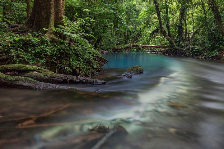 Tenorio Volcano National Park Hike to the Turquoise Rio Celeste Blue River (2/8)