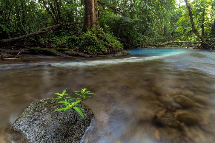 Tenorio Volcano National Park Hike to the Turquoise Rio Celeste Blue River (3/8)