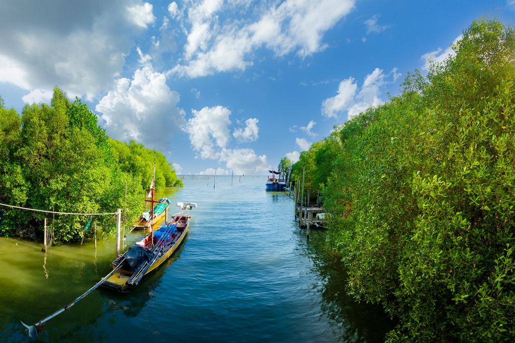 Small boat tied beside a mangrove-lined river under a blue sky