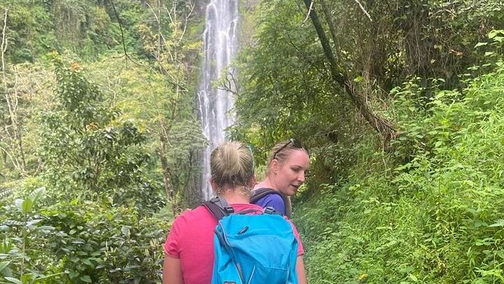 Materuni Waterfall Walk and Chemka Hot Springs Day Trip from Arusha or Moshi (2/9)