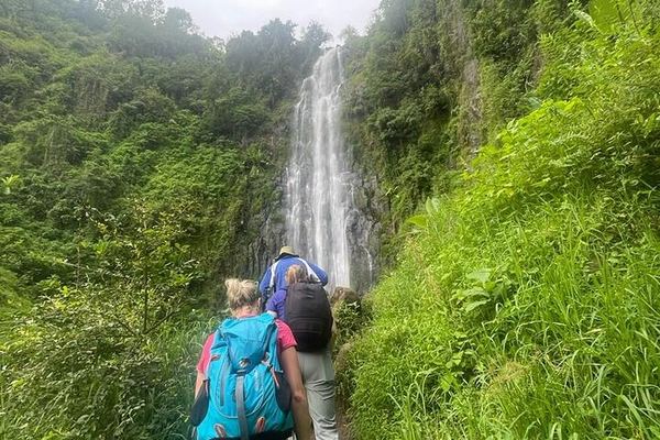 Materuni Waterfall Walk and Chemka Hot Springs Day Trip from Arusha or Moshi