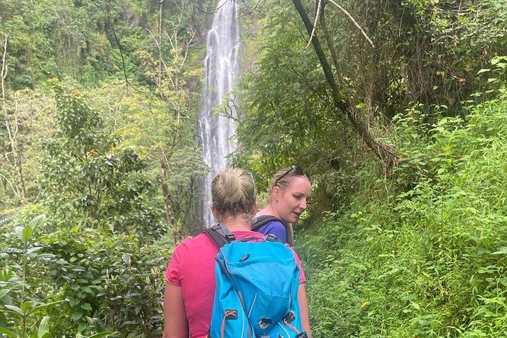 Materuni Waterfall Walk and Chemka Hot Springs Day Trip from Arusha or Moshi (2/9)