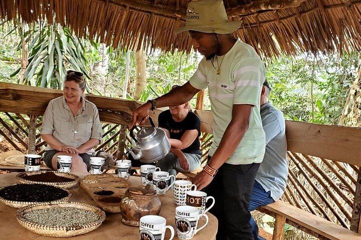 Materuni Waterfall Walk and Chemka Hot Springs Day Trip from Arusha or Moshi (7/9)
