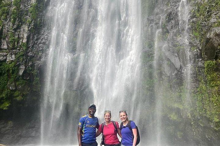 Materuni Waterfall Walk and Chemka Hot Springs Day Trip from Arusha or Moshi (3/9)