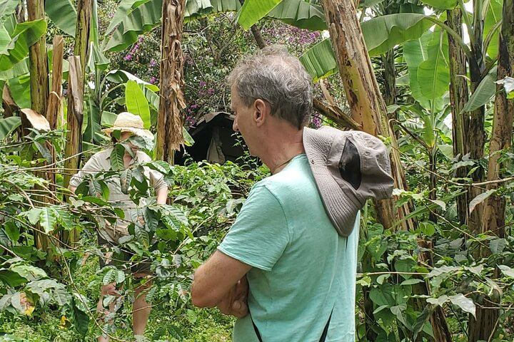 Materuni Waterfall Walk and Chemka Hot Springs Day Trip from Arusha or Moshi (4/9)