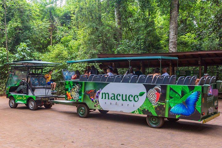 Brazilian Side of Iguassu Falls and Macuco Safari Boat Ride with Tickets, Foz do Iguacu (8/12)