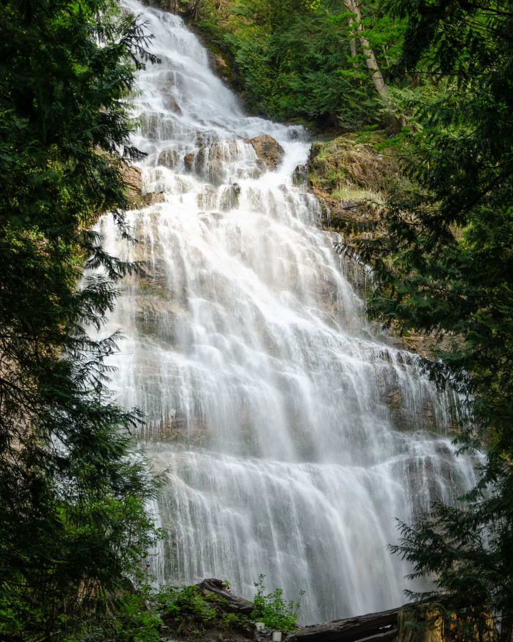 Bridal Veil Falls in a Canadian provincial park, a stepped sheet of water widening as it drops through conifers