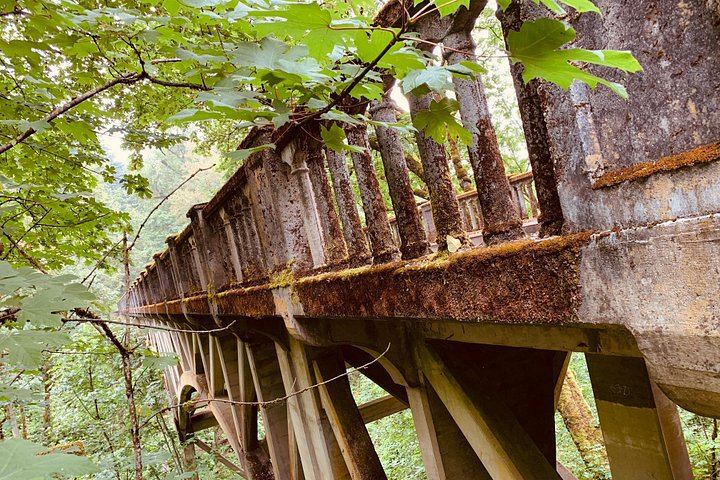 Full-Day Portland City and Columbia Gorge Waterfalls Sightseeing Tour (5/12)