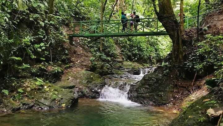 Hacienda Ebano Double Waterfall Hike by 4x4 Safari Truck, Jade Waterfall Swim and Lunch (4/11)
