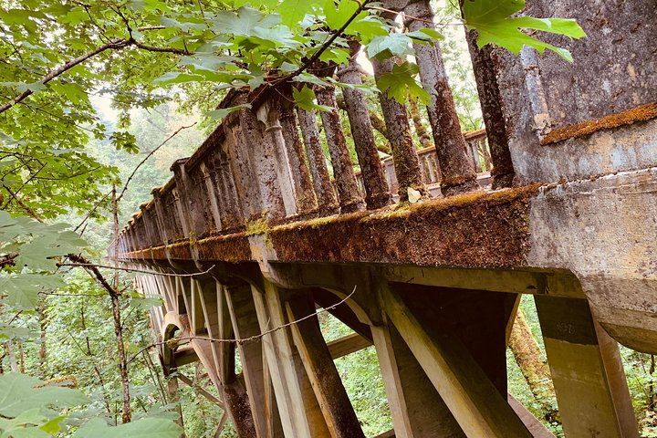 Half-Day Historic Highway Waterfalls Tour: Multnomah, Latourell, Horsetail (9/12)