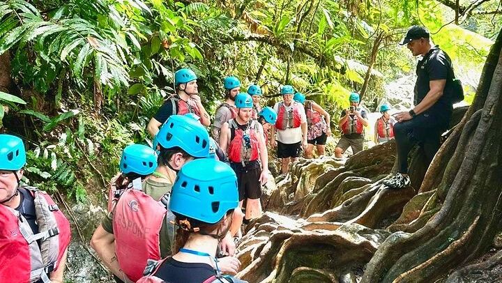 Full-Day El Yunque Hike from San Juan: Ceiba Pools, Rope Swing and Waterslides (2/9)