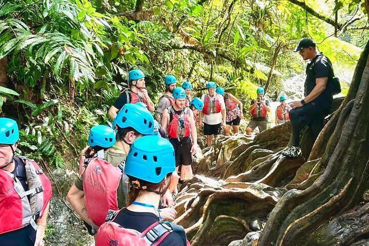 Full-Day El Yunque Hike from San Juan: Ceiba Pools, Rope Swing and Waterslides (2/9)