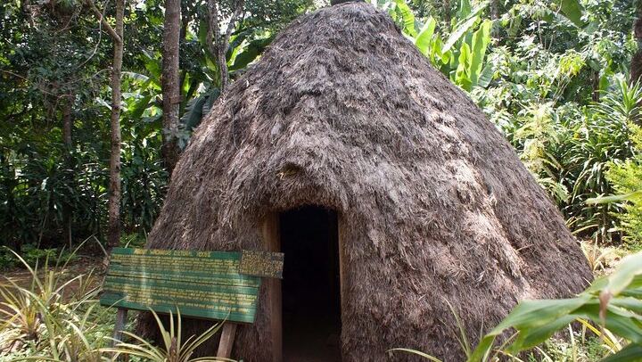 Marangu Ndoro Waterfall, Coffee Making and Chagga Culture Tour, Burigi Chato Safaris (4/12)