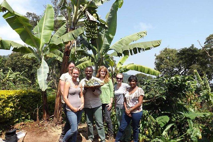 Marangu Ndoro Waterfall, Coffee Making and Chagga Culture Tour, Burigi Chato Safaris (7/12)