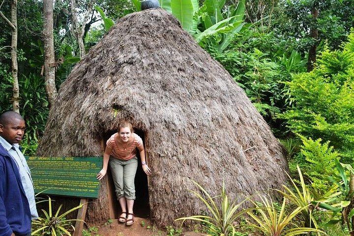 Marangu Ndoro Waterfall, Coffee Making and Chagga Culture Tour, Burigi Chato Safaris (6/12)